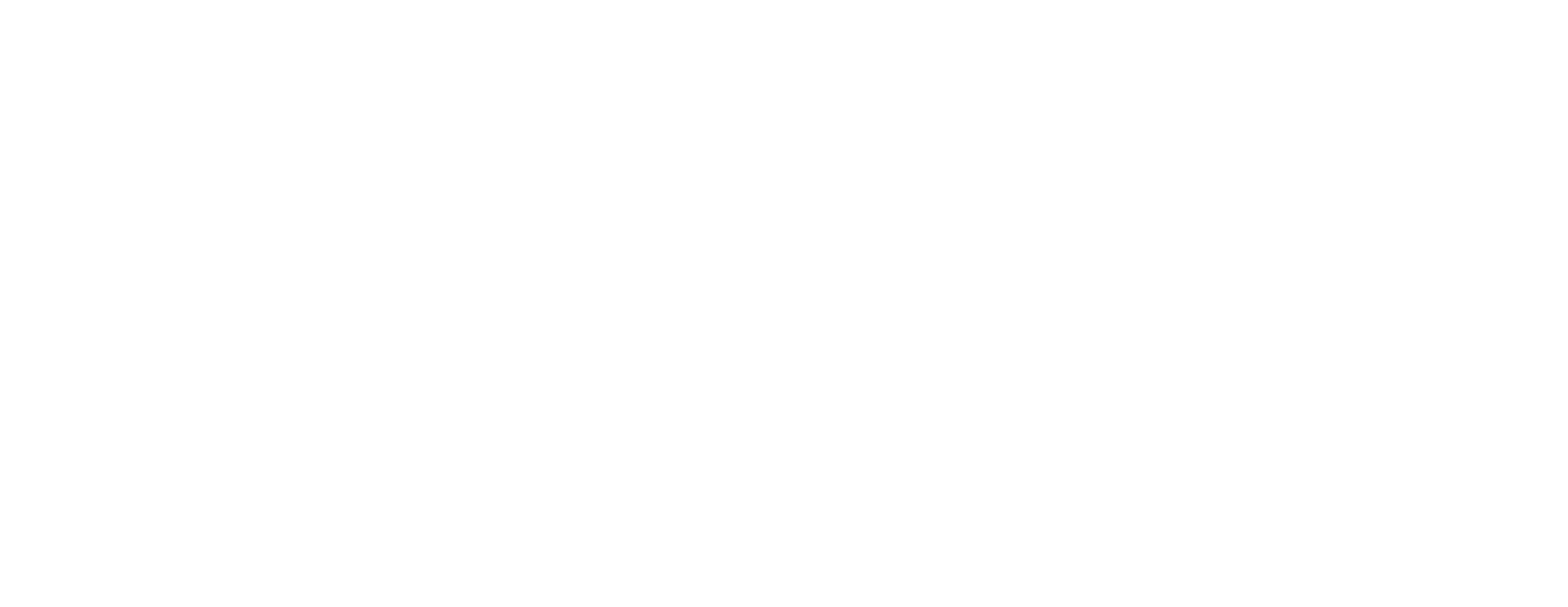 ASL Media Group Logo White